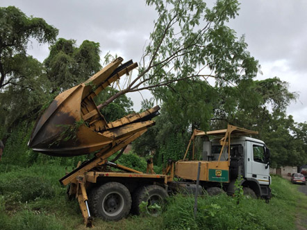 गुजरात में साबरमती डिपो निर्माण स्थल पर पेड़ों को स्थानांतरित करने वाला एक कुदाल ट्रक