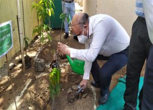विश्व पर्यावरण दिवस 2021 पर साबरमती हब निर्माण स्थल पर पौधा लगाते हुए एनएचएसआरसीएल के अधिकारी 