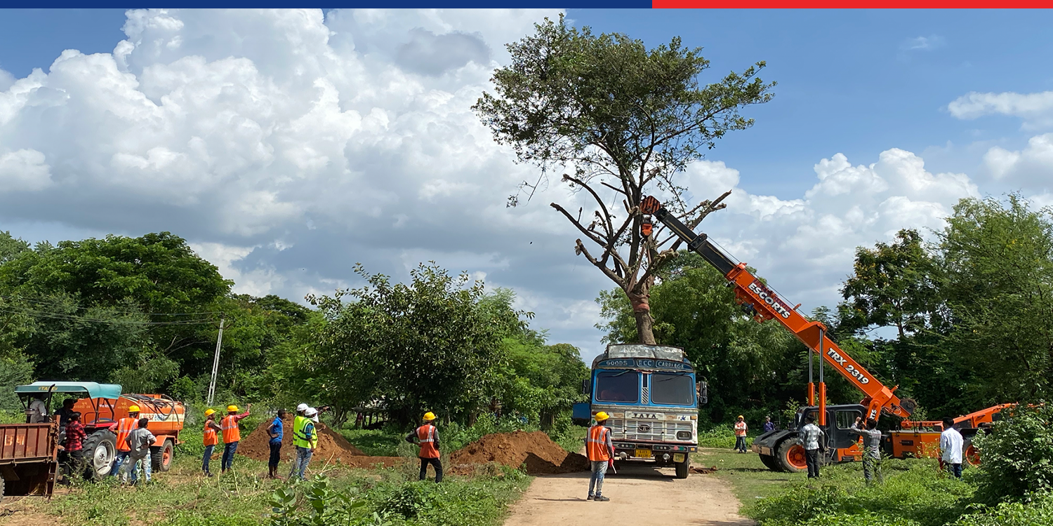 वडोदरा, गुजरात में वृक्ष प्रत्यारोपण कार्य प्रगति पर