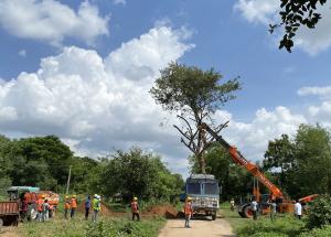Tree Transplantation work under progress in Vadodara Gujarat