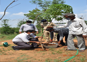 NHSRCL official planting a sapling at the Anand HSR station site on World Environment Day 2021