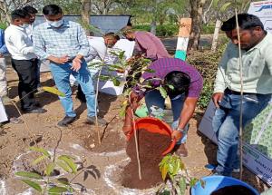 Under Miyawaki approach, NHSRCL’s team planted 5,250 saplings of native species in coordination with Vadodara Municipal Corporation's Parks and Garden Department at Bhil Village, Gujarat.