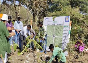 मियावाकी दृष्टिकोण के तहत, एनएचएसआरसीएल की टीम ने गुजरात के भील गांव में वडोदरा नगर निगम के पार्क और उद्यान विभाग के समन्वय में देसी प्रजातियों के 5,250 पौधे लगाए