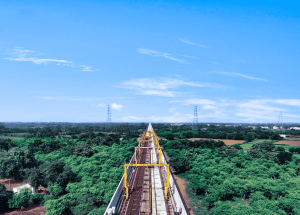प्रकृति के साथ प्रगति आनंद जनवरी 2025